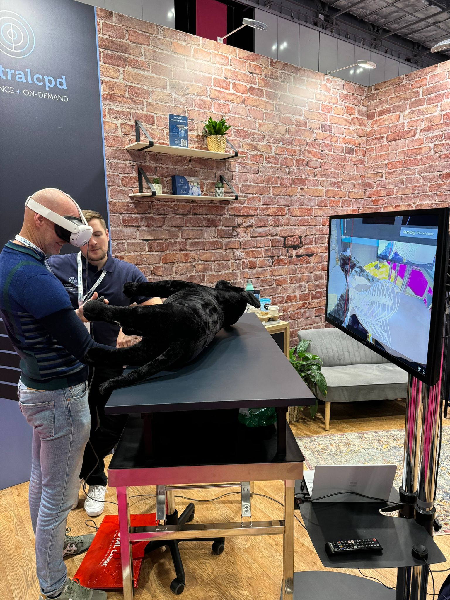 Deepscope VR ultrasound simulator demonstration