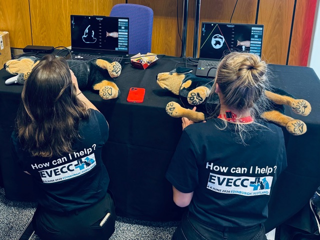 Deepscope mannequin-based ultrasound simulator in use with two trainees scanning